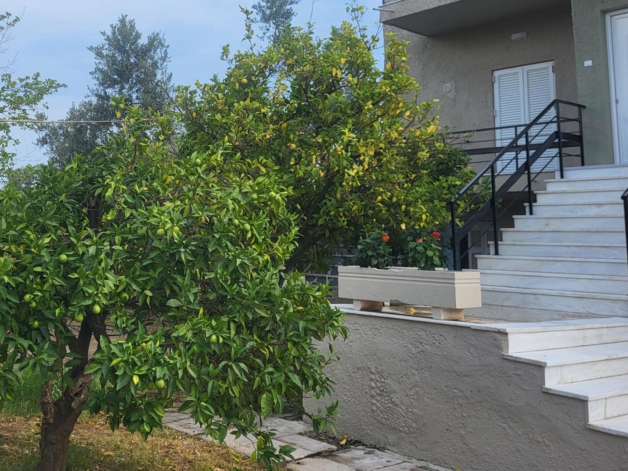 Marys Sweet Eretria Appartement *